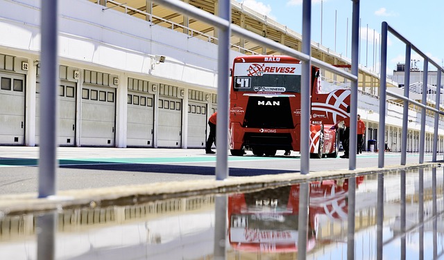 记录来看 记录来看