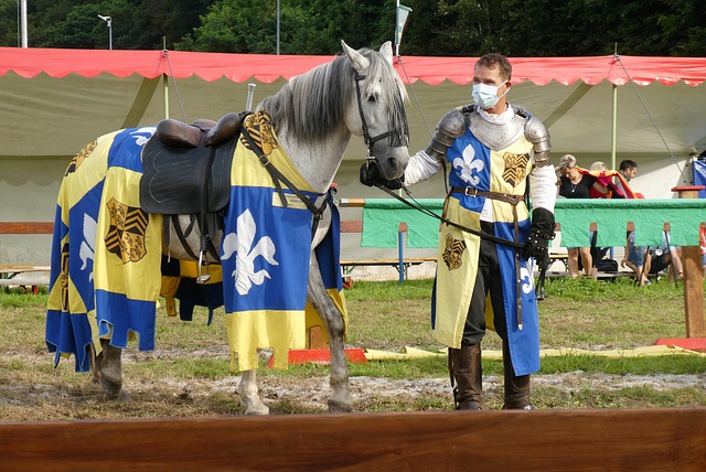 是战胜强敌 是战胜强敌