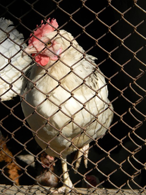 大的破坏力 大的破坏力