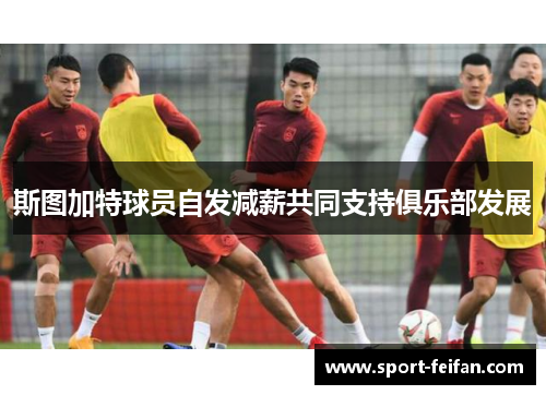 斯图加特球员自发减薪共同支持俱乐部发展